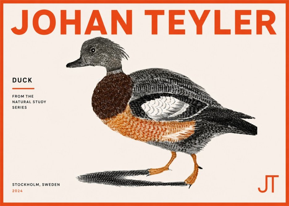 Johan Teyler Duck II No5 - Poszter