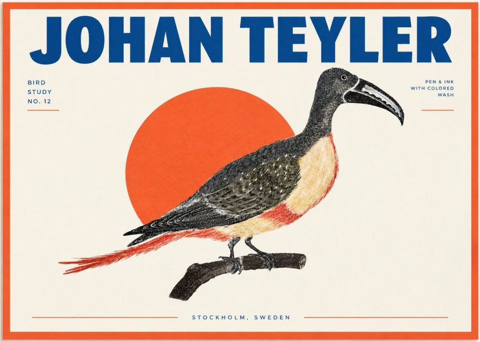 Johan Teyler Bird Study No. 12 - Original Drawing No2 - Poszter