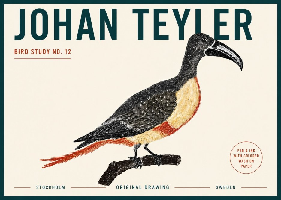 Johan Teyler Bird Study No. 12 - Original Drawing No5 - Poszter