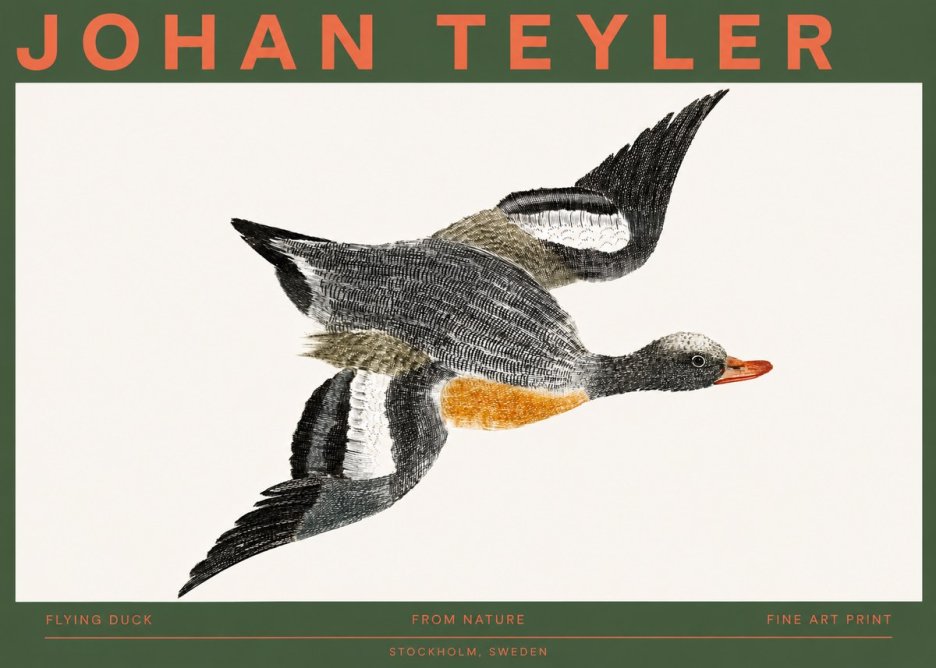 Johan Teyler Flying Duck No2 - Poszter
