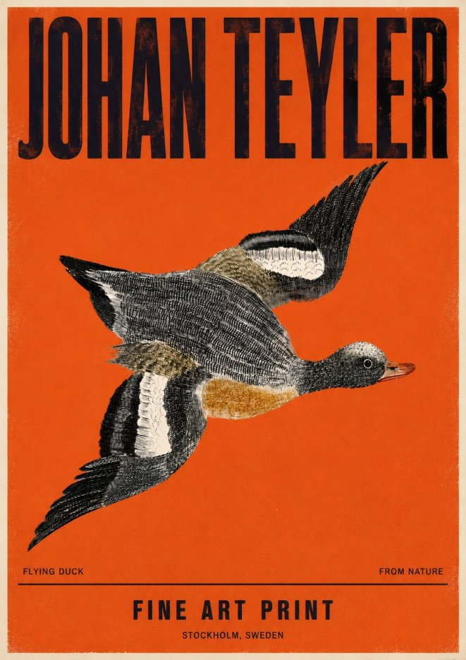 Johan Teyler Flying Duck No4 - Poszter