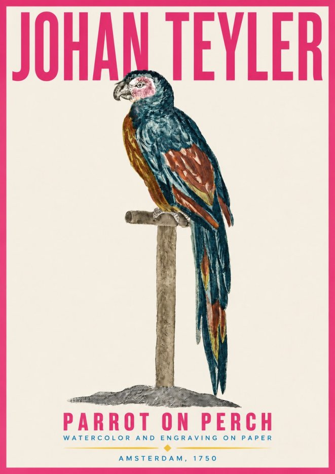 Johan Teyler Parrot on Perch No4 - Poszter