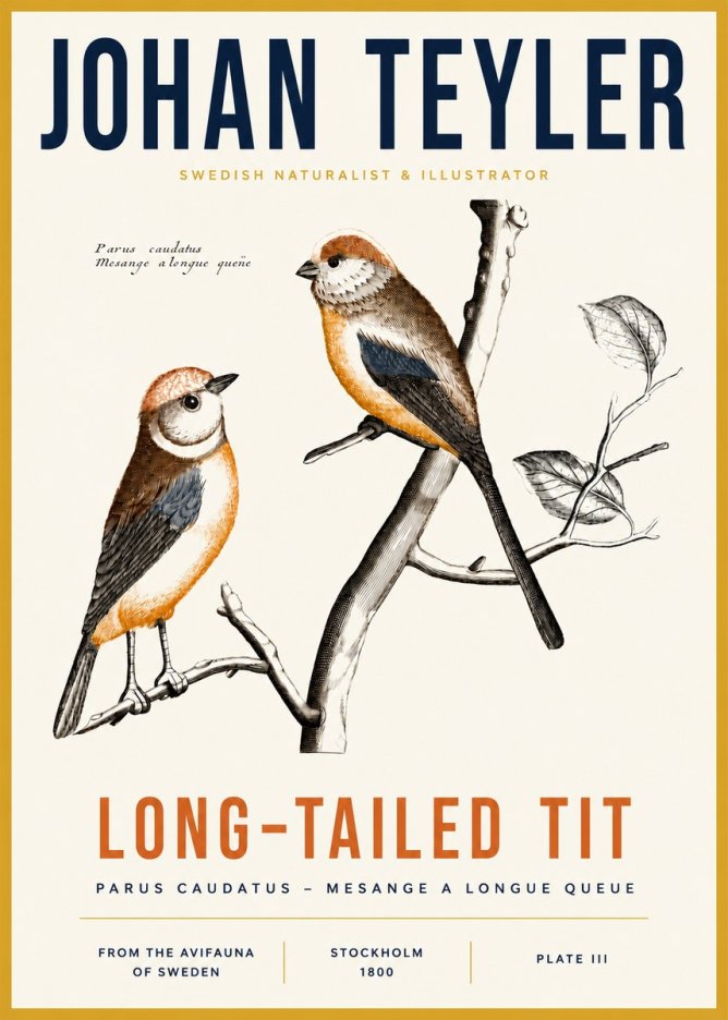 Johan Teyler Long-tailed Tit No3 - Poszter