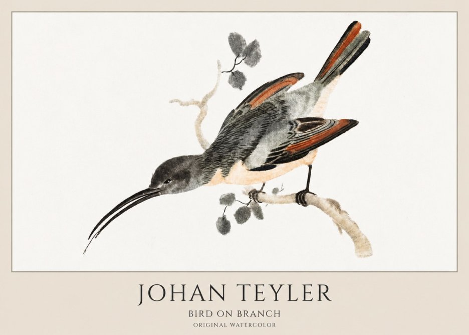 Johan Teyler Bird on Branch II No1 - Poszter