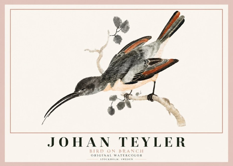 Johan Teyler Bird on Branch II No3 - Poszter