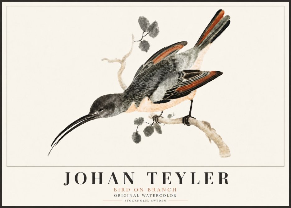 Johan Teyler Bird on Branch II No5 - Poszter