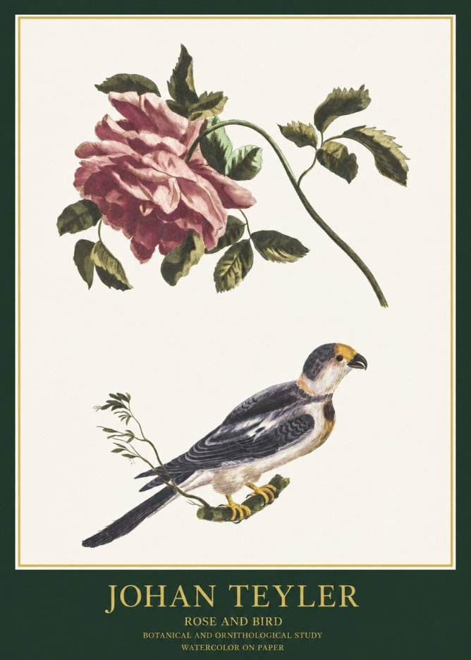 Johan Teyler Rose and Bird I No1 - Poszter