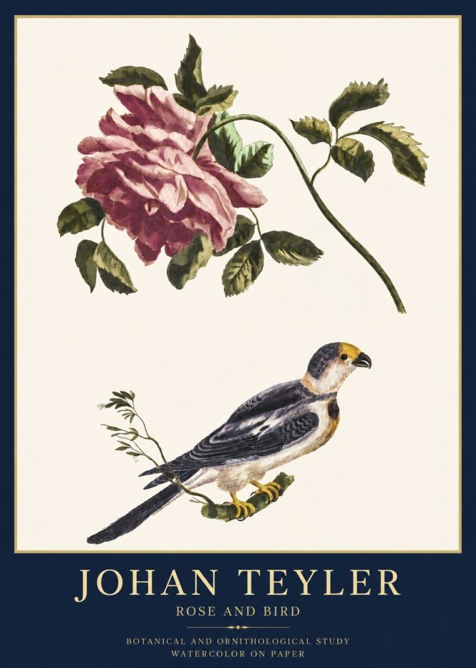Johan Teyler Rose and Bird I No3 - Poszter