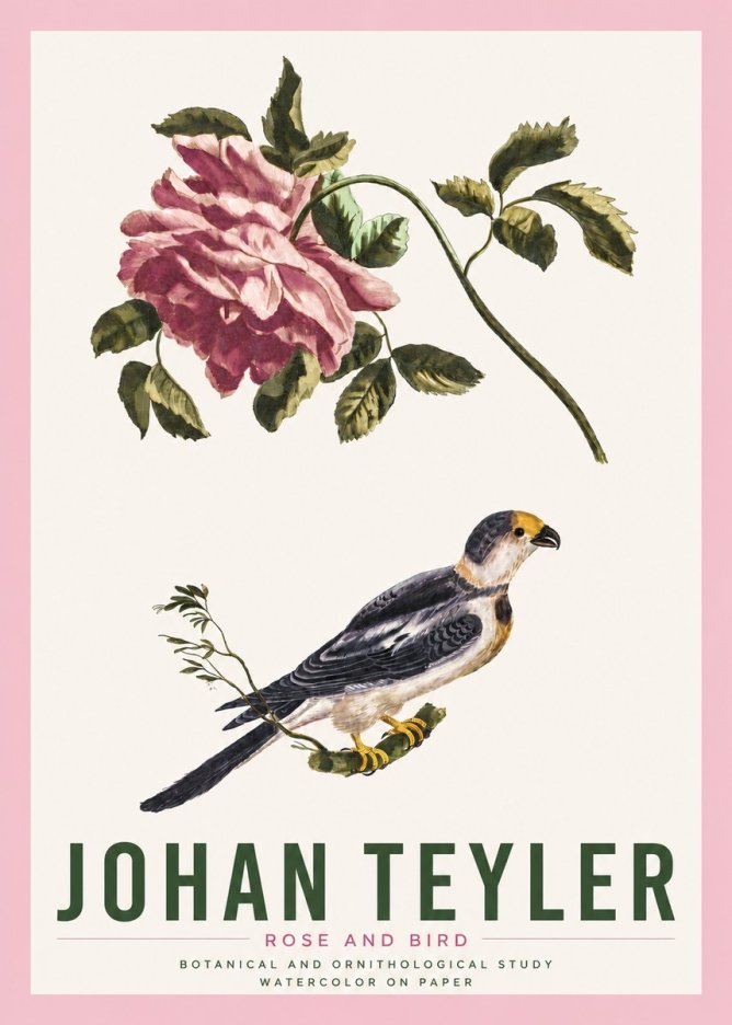 Johan Teyler Rose and Bird I No4 - Poszter