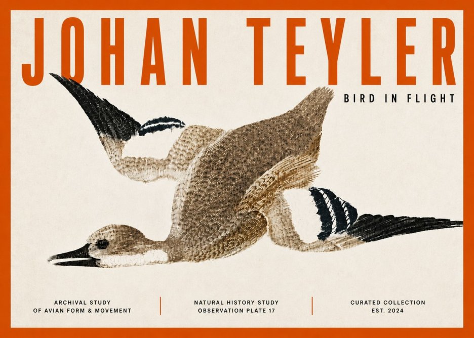 Johan Teyler Bird in Flight II No5 - Poszter