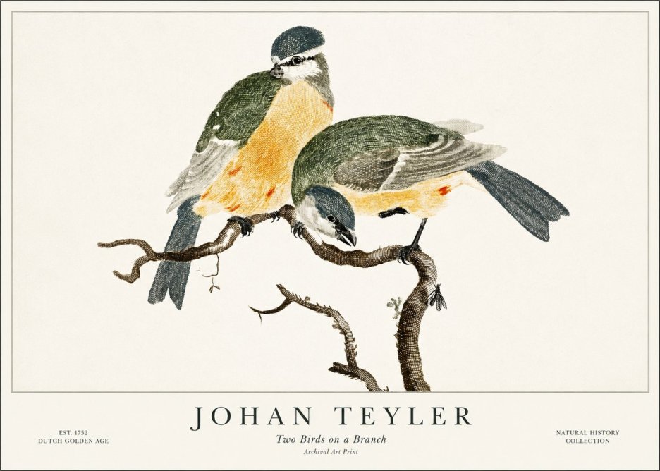 Johan Teyler Two Birds on a Branch No1 - Poszter