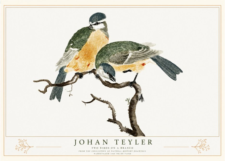 Johan Teyler Two Birds on a Branch No2 - Poszter