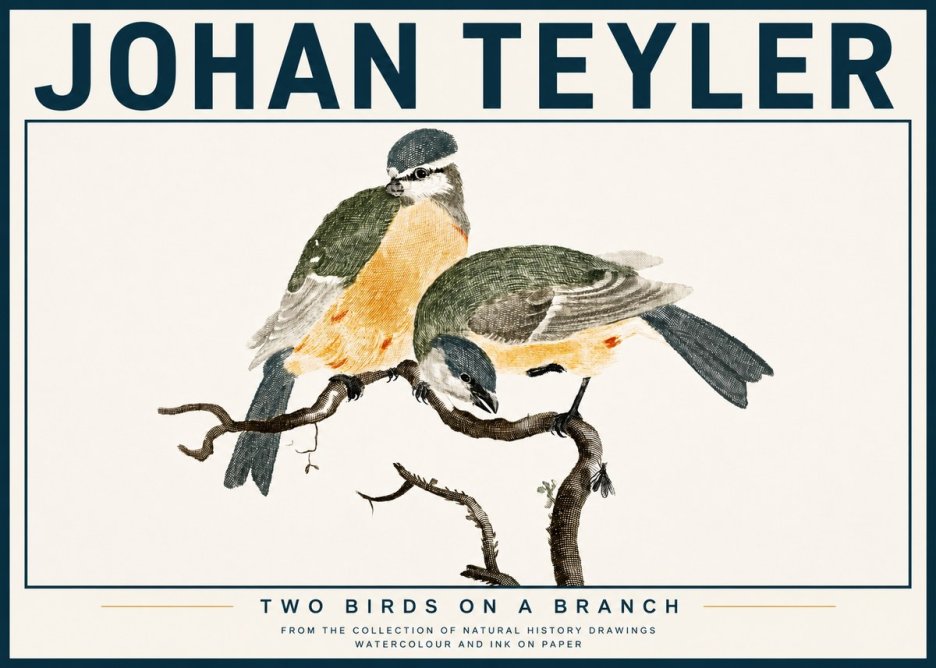 Johan Teyler Two Birds on a Branch No4 - Poszter