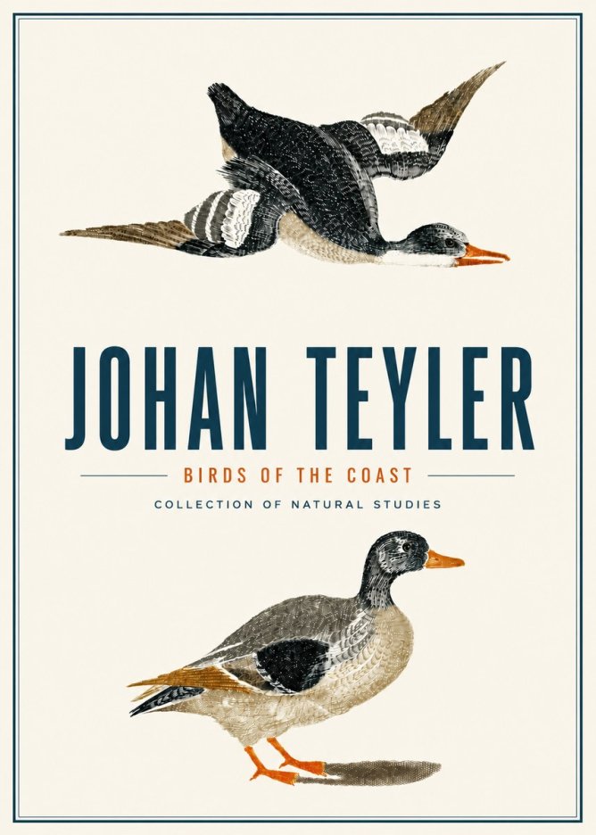 Johan Teyler Birds of the Coast No4 - Poszter