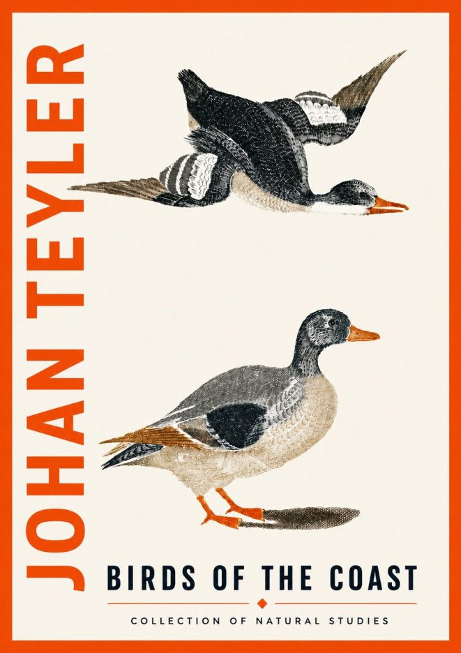 Johan Teyler Birds of the Coast No5 - Poszter