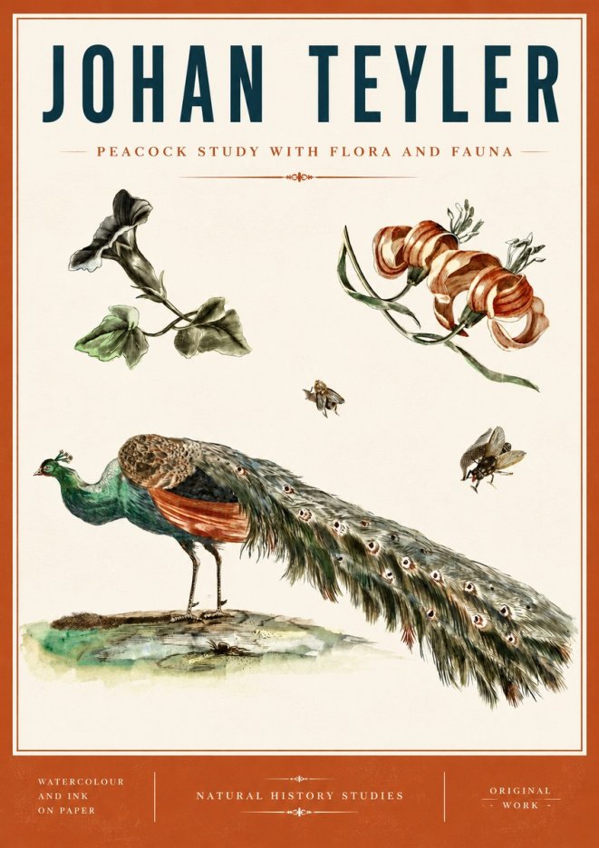 Johan Teyler Peacock Study with Flora and Fauna No6 - Poszter