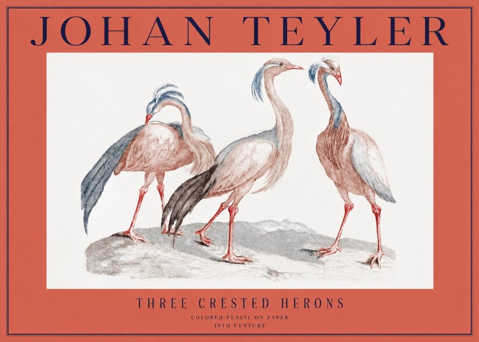 Johan Teyler Three Crested Herons No2 - Poszter