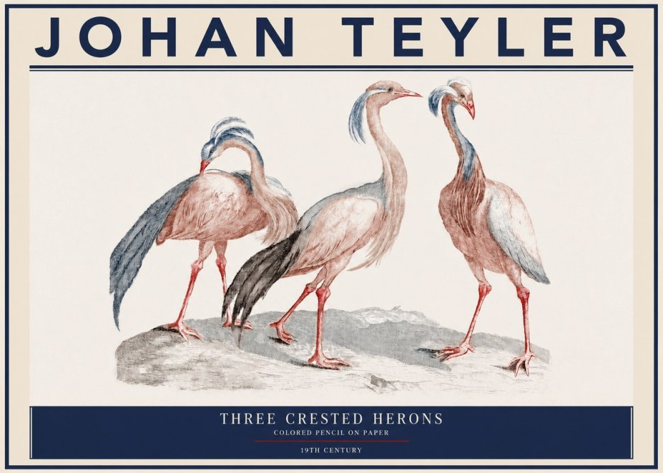 Johan Teyler Three Crested Herons No3 - Poszter