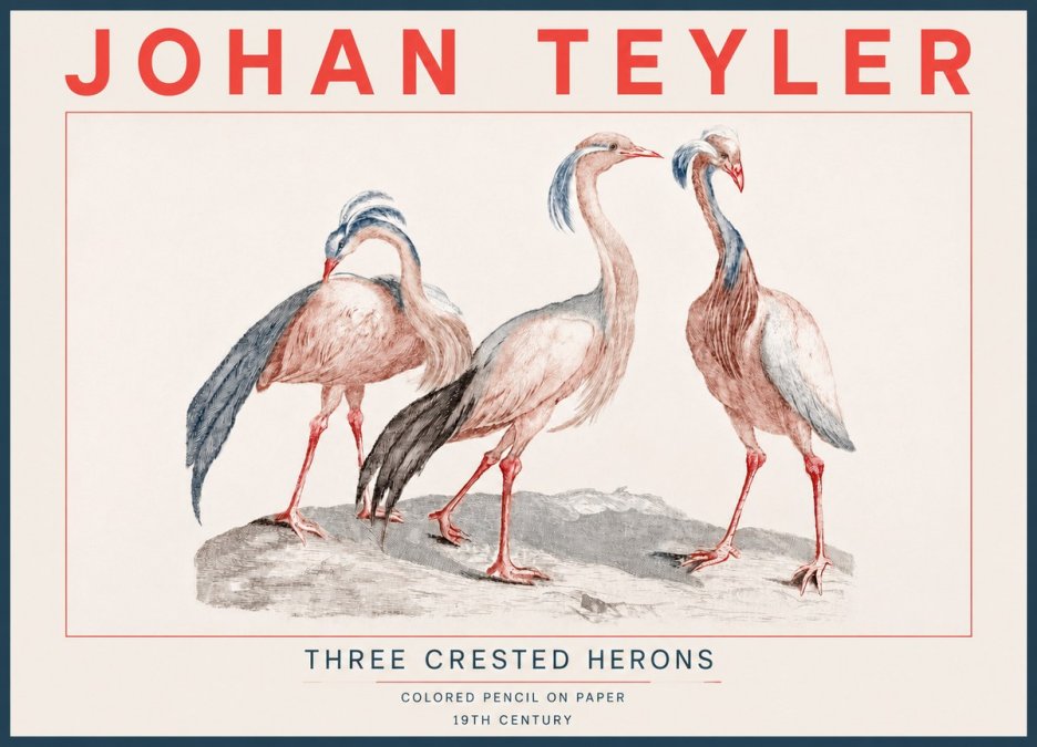 Johan Teyler Three Crested Herons No4 - Poszter