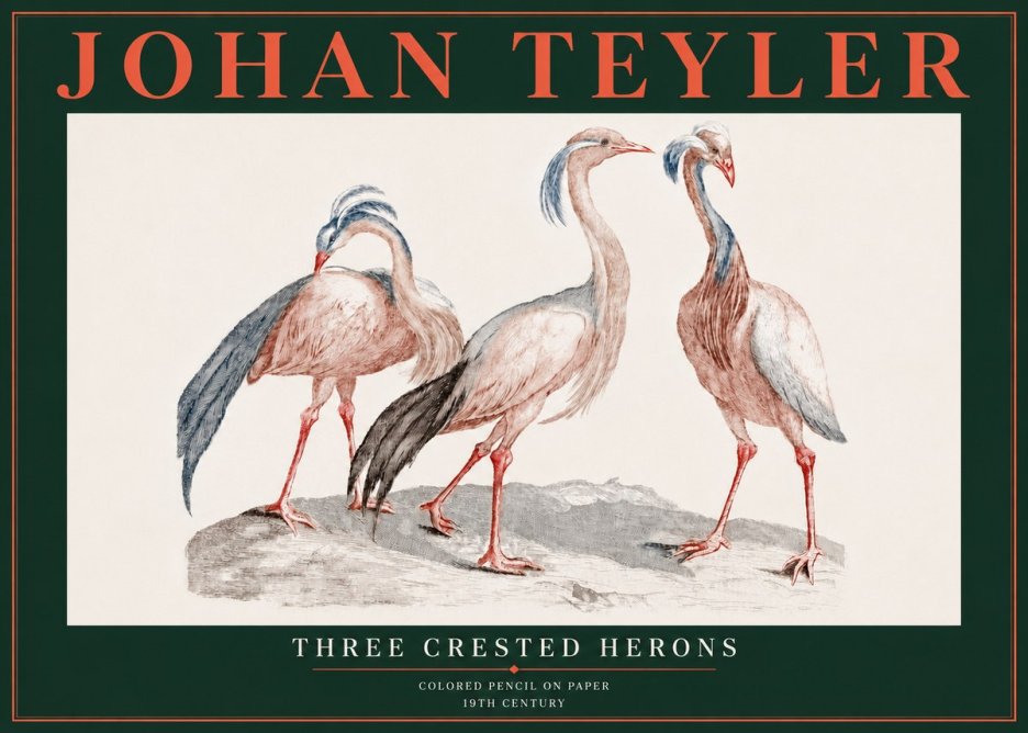 Johan Teyler Three Crested Herons No5 - Poszter