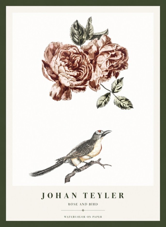 Johan Teyler Rose and Bird II No1 - Poszter
