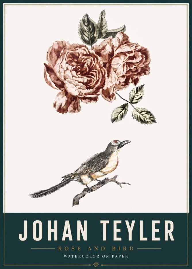 Johan Teyler Rose and Bird II No3 - Poszter