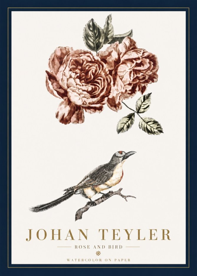 Johan Teyler Rose and Bird II No5 - Poszter