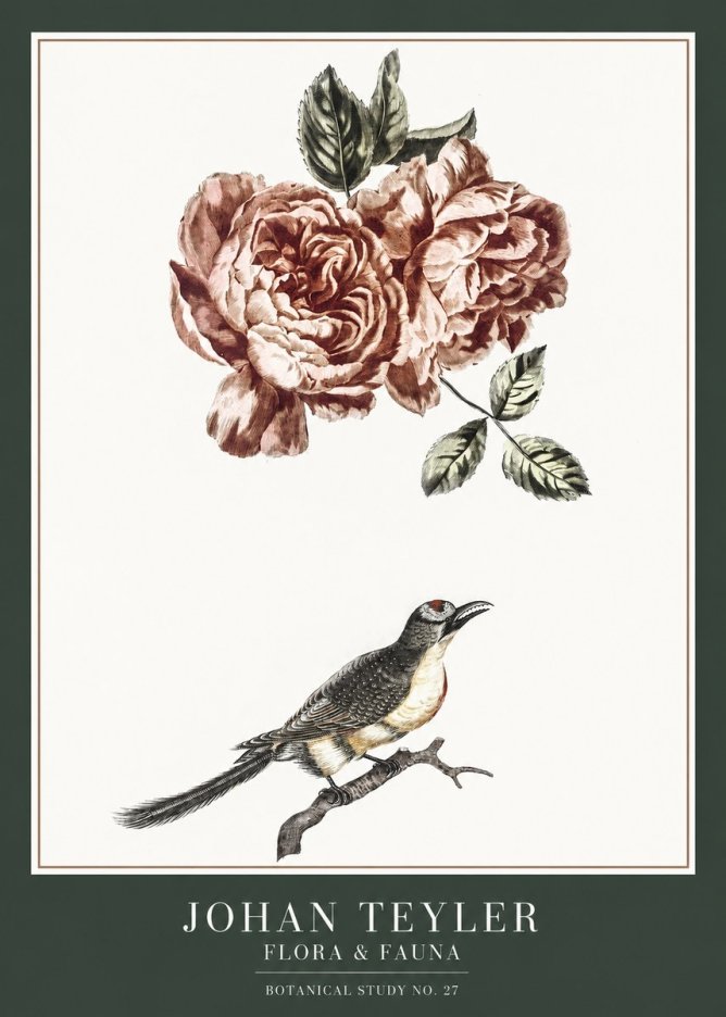 Johan Teyler Rose and Bird II No6 - Poszter