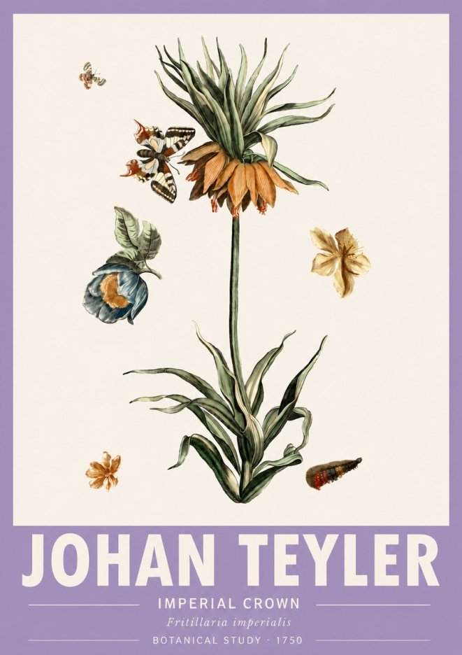 Johan Teyler Crown Imperial No6 - Poszter
