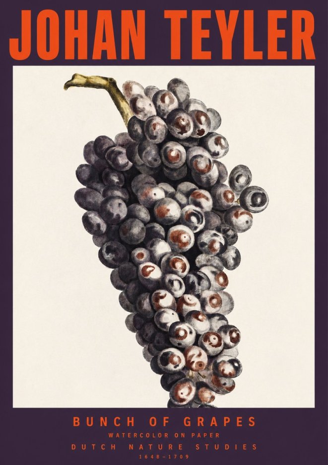 Johan Teyler Bunch of Grapes No2 - Poszter