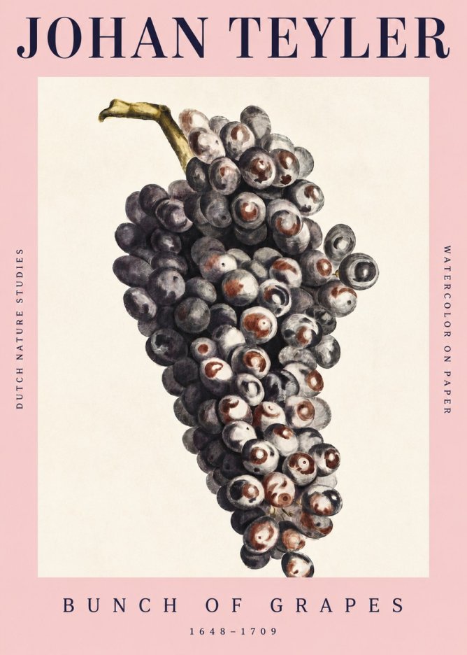 Johan Teyler Bunch of Grapes No4 - Poszter