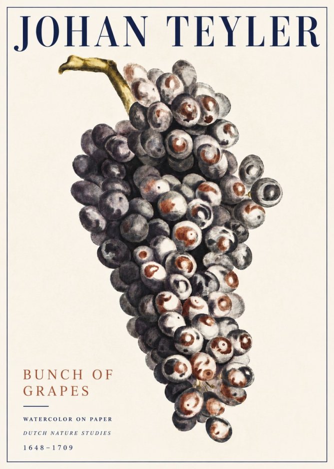 Johan Teyler Bunch of Grapes No5 - Poszter