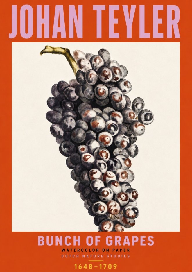 Johan Teyler Bunch of Grapes No6 - Poszter
