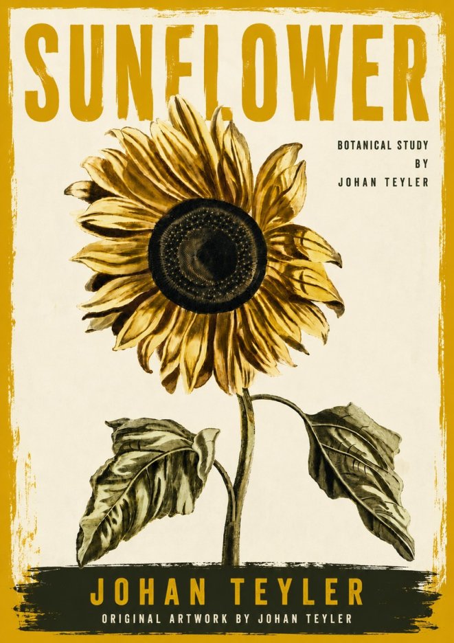 Johan Teyler Sunflower - Botanical Study No6 - Poszter