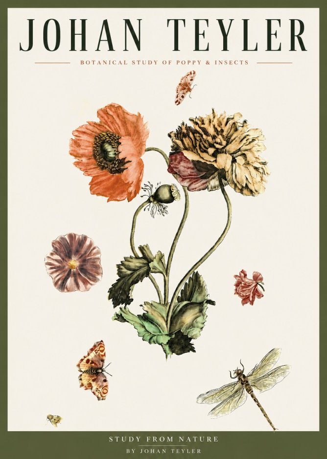 Johan Teyler Botanical Study of Poppy & Insects No3 - Poszter