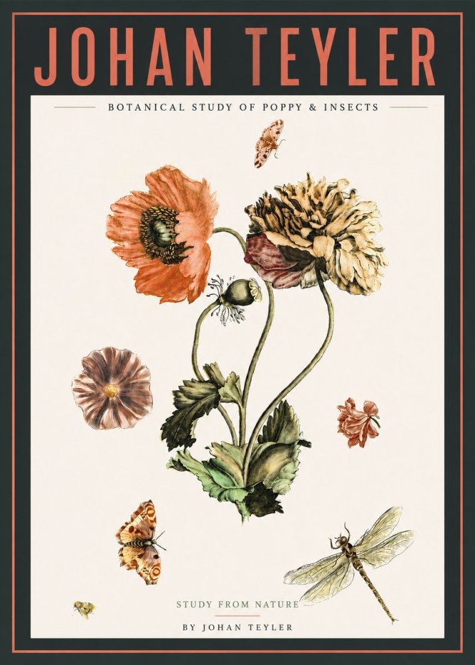 Johan Teyler Botanical Study of Poppy & Insects No4 - Poszter