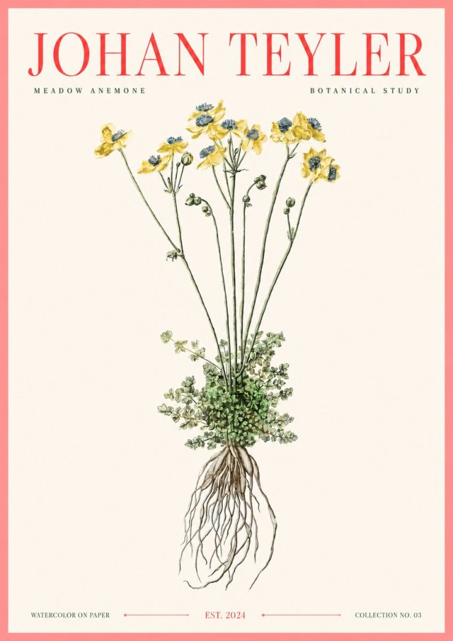 Johan Teyler Meadow Anemone No3 - Poszter