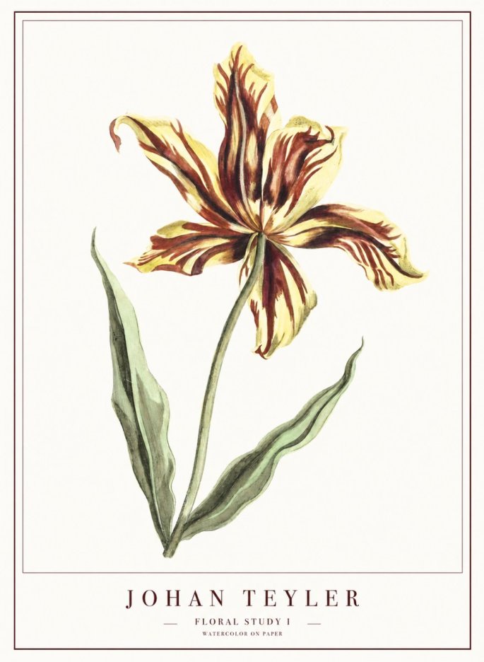 Johan Teyler Floral Study I No1 - Poszter