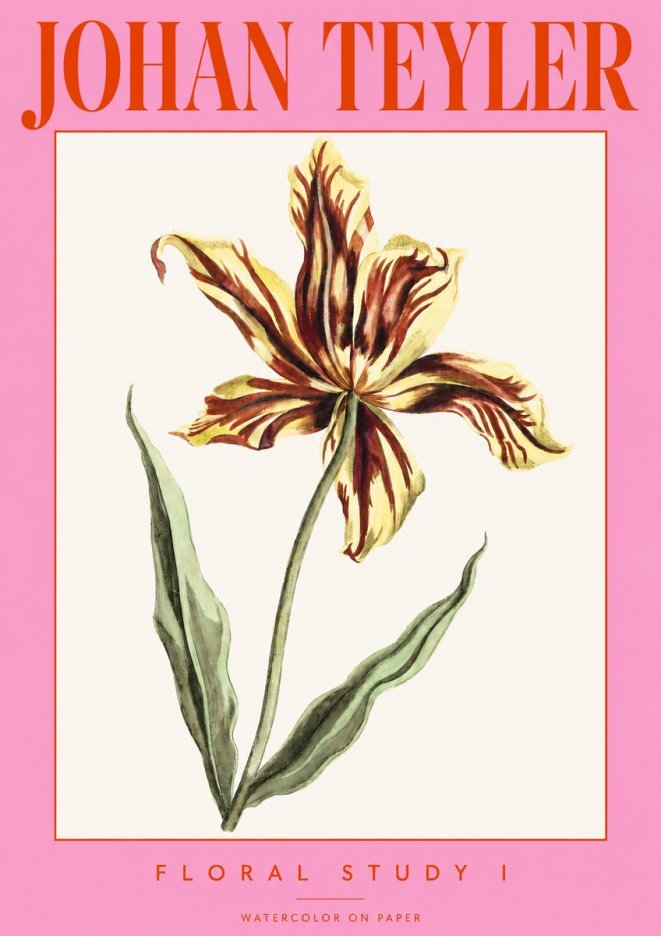 Johan Teyler Floral Study I No3 - Poszter