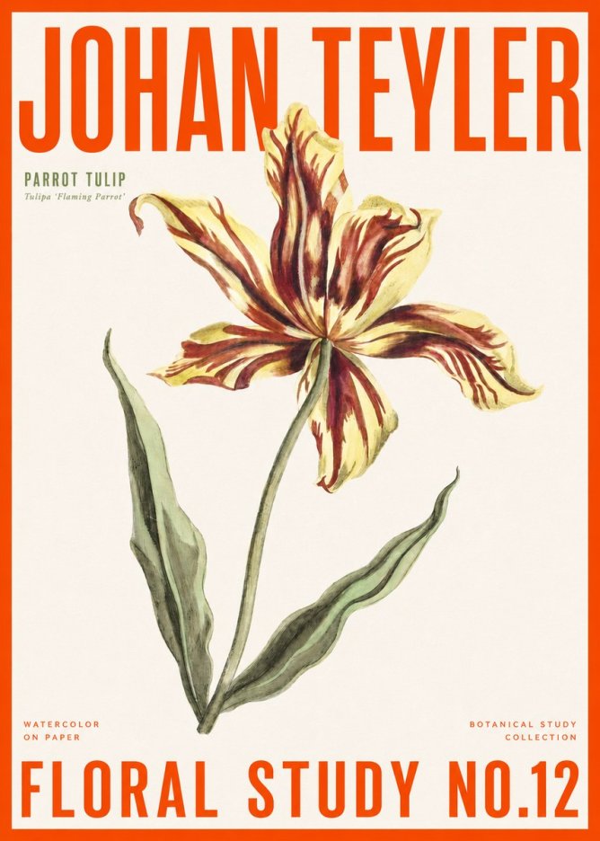 Johan Teyler Floral Study I No6 - Poszter