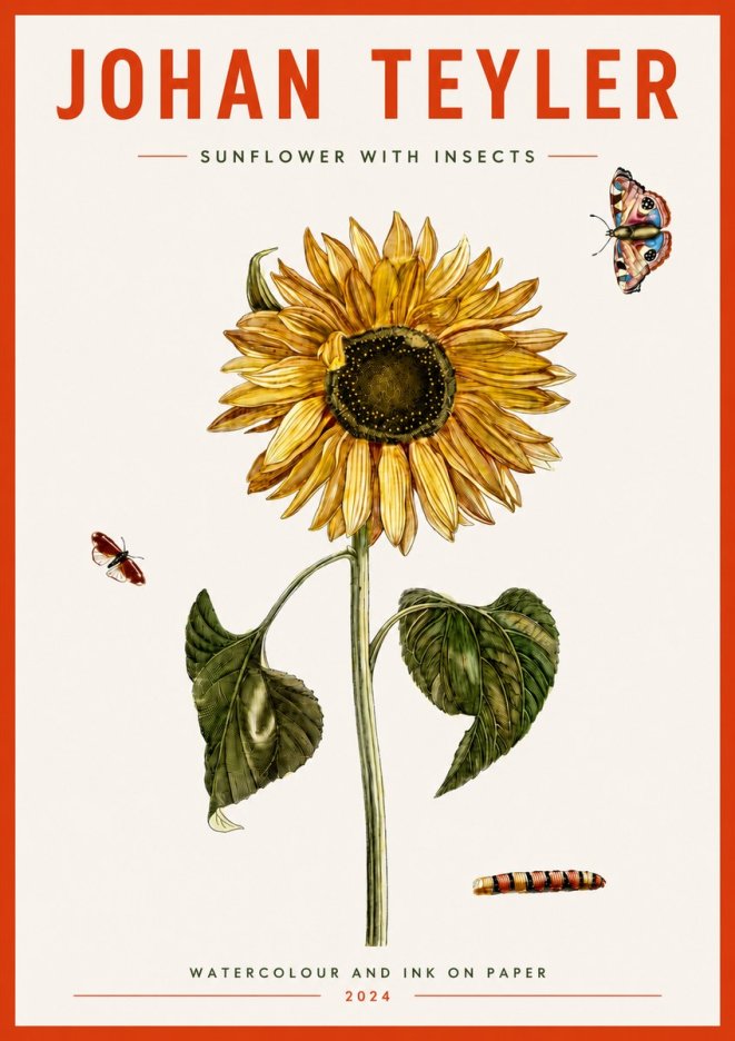 Johan Teyler Sunflower with Insects No4 - Poszter