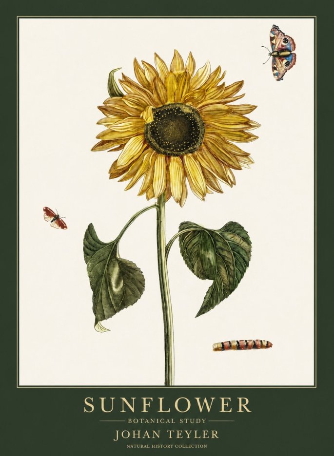 Johan Teyler Sunflower with Insects No6 - Poszter