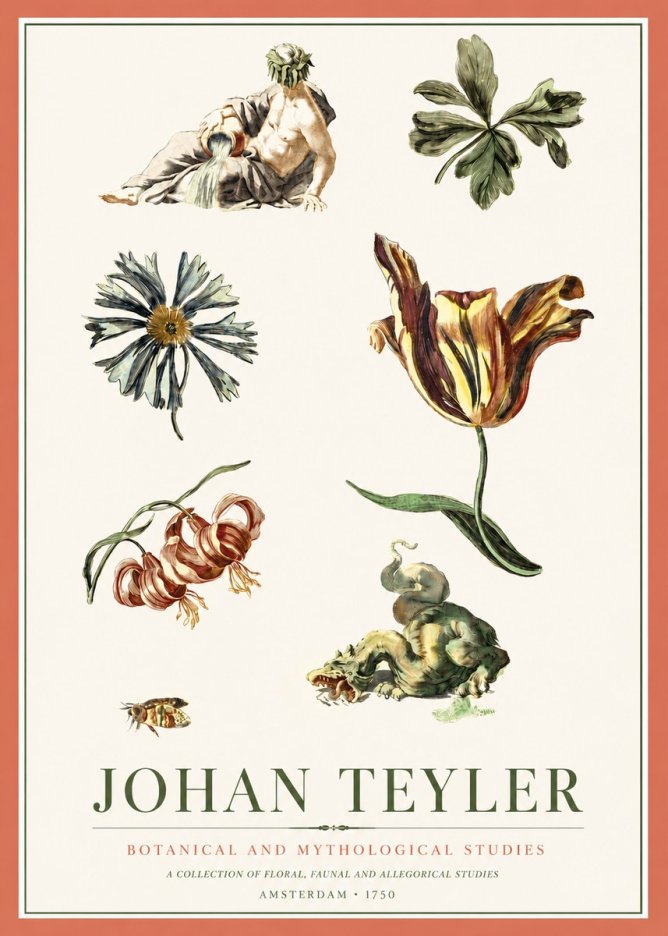 Johan Teyler Botanical and Mythological Studies No3 - Poszter