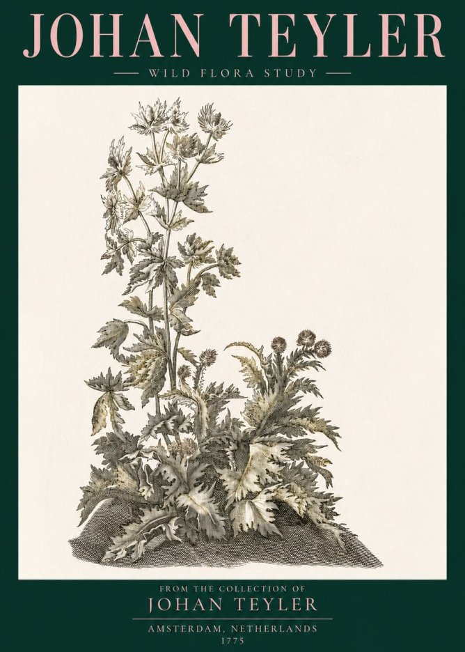 Johan Teyler Wild Flora Study No3 - Poszter