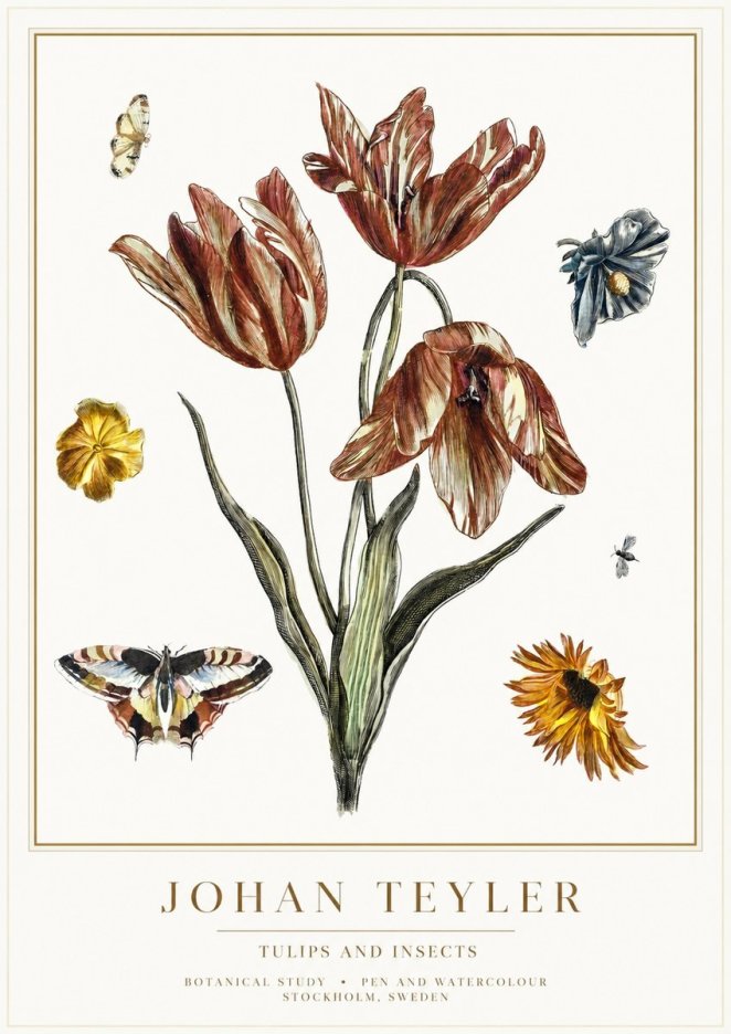 Johan Teyler Tulips and Insects No1 - Poszter