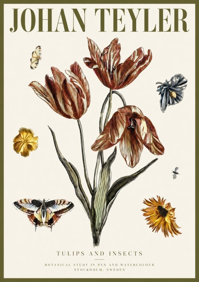 Johan Teyler Tulips and Insects No3 - Poszter