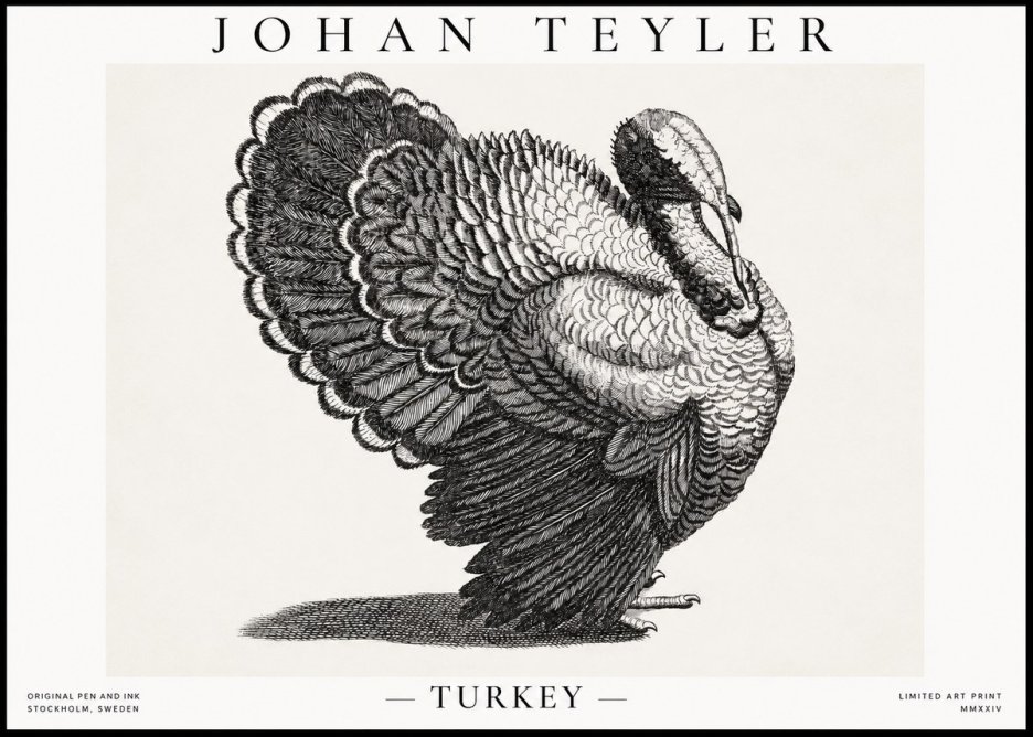 Johan Teyler Turkey No1 - Poszter
