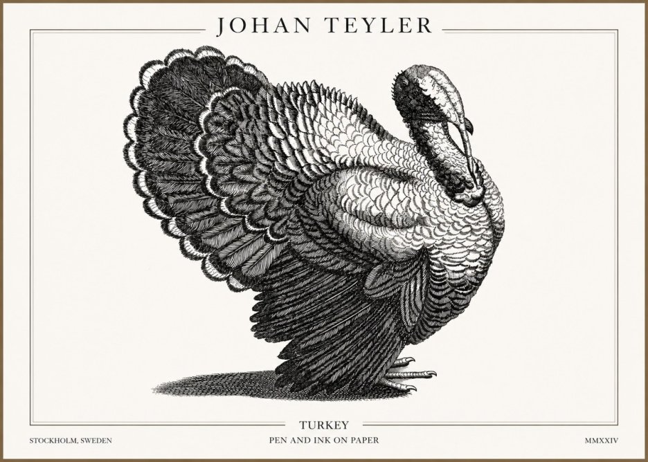 Johan Teyler Turkey No2 - Poszter