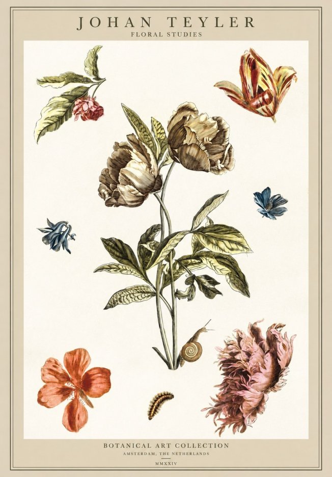 Johan Teyler Floral Studies No1 - Poszter