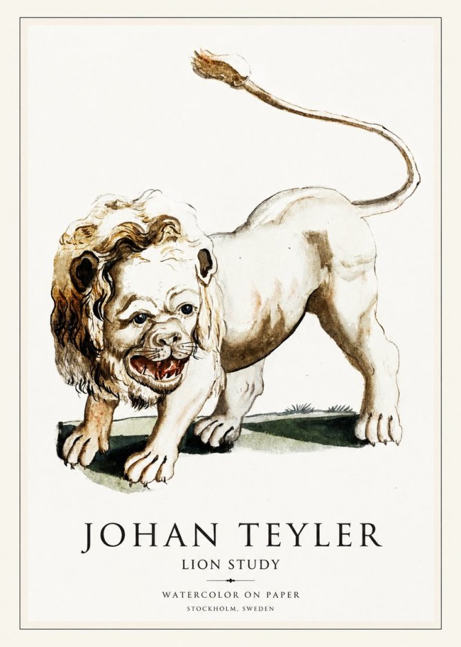 Johan Teyler Lion Study No1 - Poszter